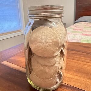 Handmade Glass Jar with Sand Dollars
